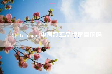 嘉善中国冠军品牌是真的吗