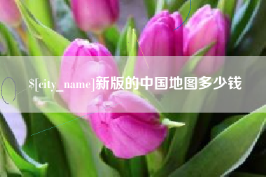 嘉善新版的中国地图多少钱