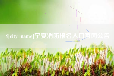 嘉善宁夏消防报名入口官网公告