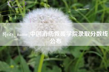 嘉善中国消防救援学院录取分数线公布