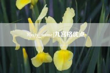 嘉善九宫格优点
