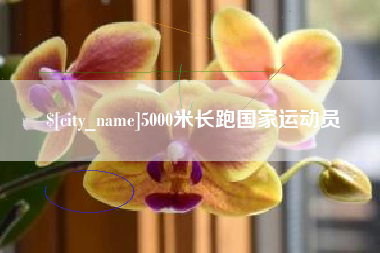 嘉善5000米长跑国家运动员
