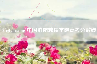 嘉善中国消防救援学院高考分数线
