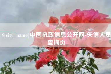 嘉善中国执政信息公开网-失信人员查询页
