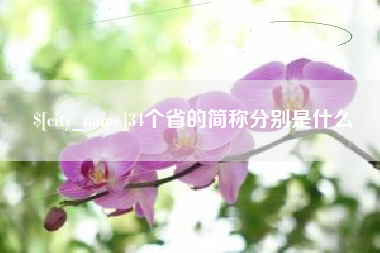 嘉善34个省的简称分别是什么