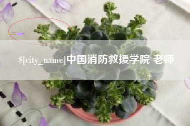 嘉善中国消防救援学院 老师