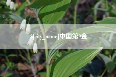 嘉善中国第9金