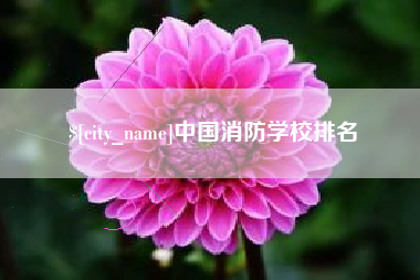 嘉善中国消防学校排名