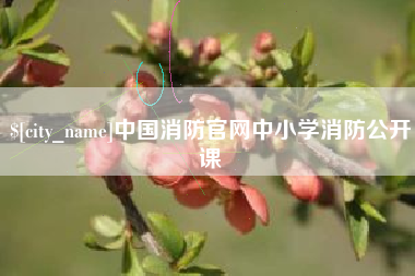嘉善中国消防官网中小学消防公开课