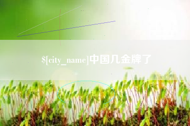 嘉善中国几金牌了