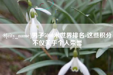 嘉善男子5000米世界排名-这些积分不仅关乎个人荣誉