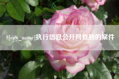 嘉善执行信息公开网查到的案件