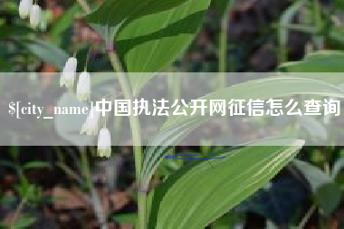 嘉善中国执法公开网征信怎么查询