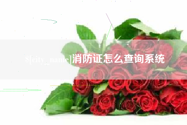嘉善消防证怎么查询系统