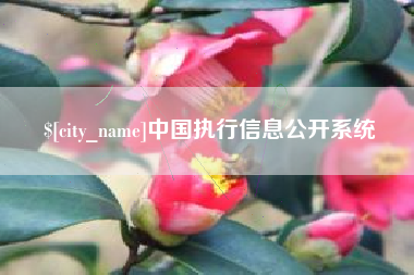 嘉善中国执行信息公开系统