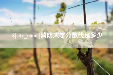 嘉善消防大学分数线是多少
