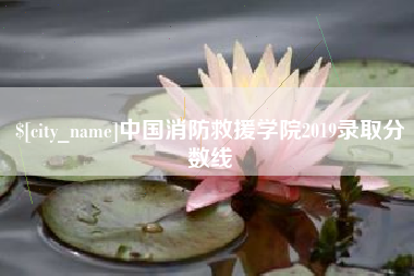 嘉善中国消防救援学院2019录取分数线