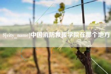 嘉善中国消防救援学院在那个地方