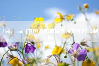 嘉善中国消防救援学院有年龄限制吗