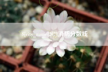 嘉善2021消防分数线