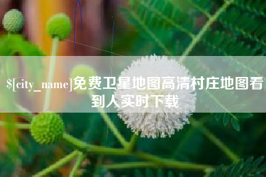 嘉善免费卫星地图高清村庄地图看到人实时下载