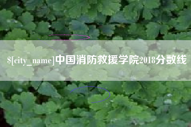 嘉善中国消防救援学院2018分数线