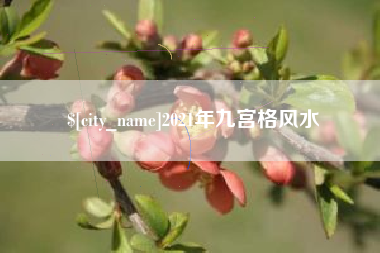 嘉善2021年九宫格风水