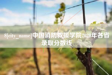 嘉善中国消防救援学院2020年各省录取分数线