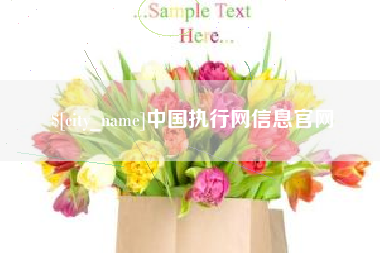 嘉善中国执行网信息官网