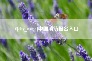 嘉善中国消防报名入口