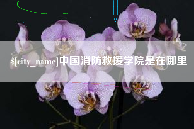嘉善中国消防救援学院是在哪里
