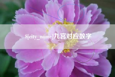 嘉善九宫对应数字