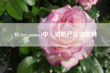 嘉善中囯消防产品信息网