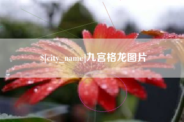 嘉善九宫格龙图片