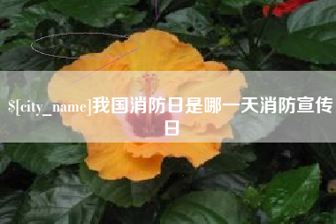 嘉善我国消防日是哪一天消防宣传日