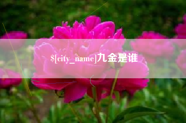 嘉善九金是谁