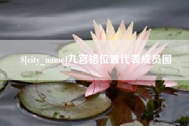 嘉善九宫格位置代表成员图