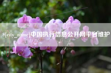 嘉善中国执行信息公开网平台维护