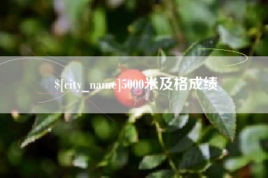 嘉善5000米及格成绩