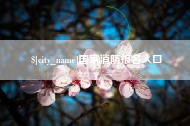 嘉善国家消防报名入口