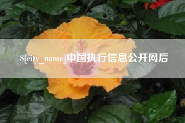 嘉善中国执行信息公开网后
