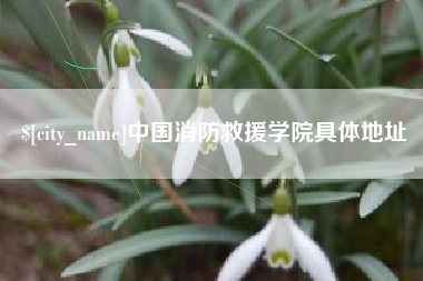 嘉善中国消防救援学院具体地址