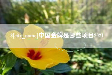嘉善中国金牌是哪些项目2021