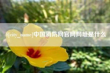 嘉善中国消防网官网网址是什么
