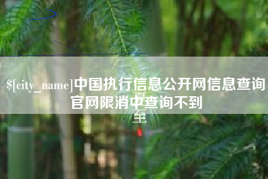 嘉善中国执行信息公开网信息查询官网限消中查询不到