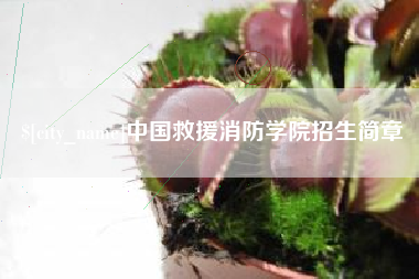 嘉善中国救援消防学院招生简章