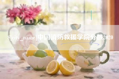 嘉善中国消防救援学院分数2020