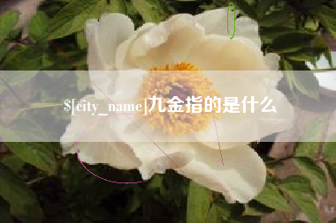 嘉善九金指的是什么