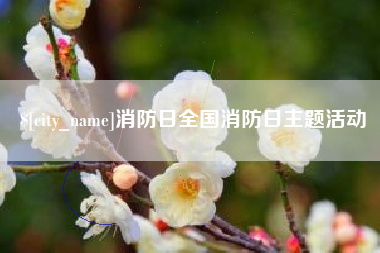 嘉善消防日全国消防日主题活动