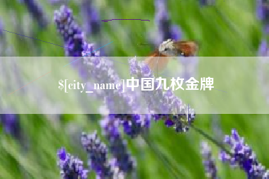 嘉善中国九枚金牌